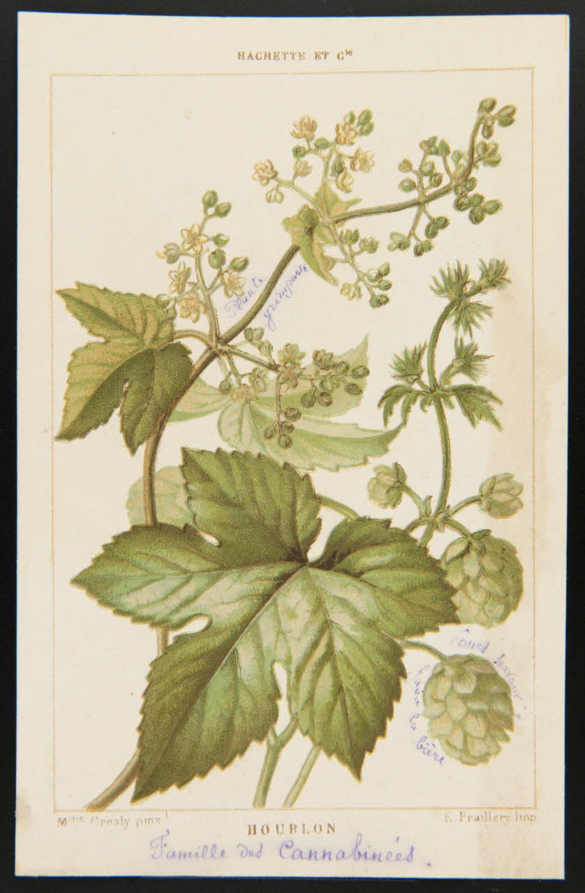 carte réclame chromo 1995.1.1311.62 Photo