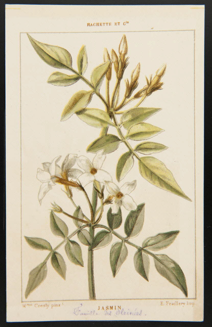 carte réclame chromo 1995.1.1311.66 Photo