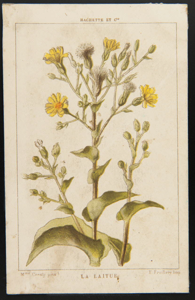 carte réclame chromo 1995.1.1311.68 Photo