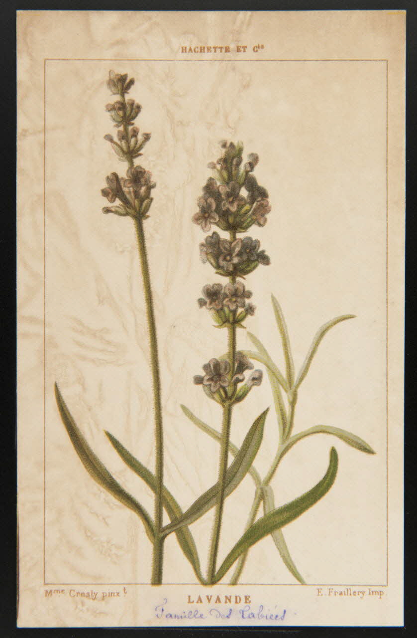 carte réclame chromo 1995.1.1311.70 Photo