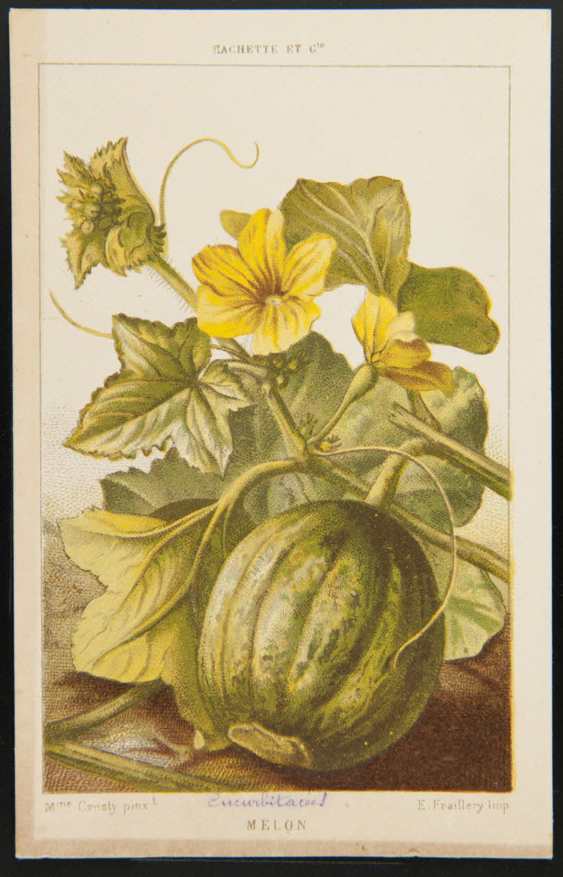 carte réclame chromo 1995.1.1311.80 Photo