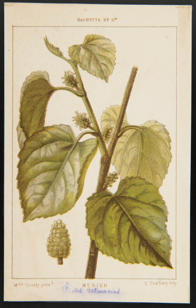 carte réclame chromo 1995.1.1311.86 Photo