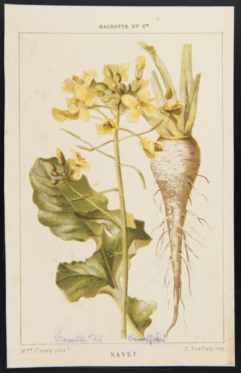 carte réclame chromo 1995.1.1311.88 Photo