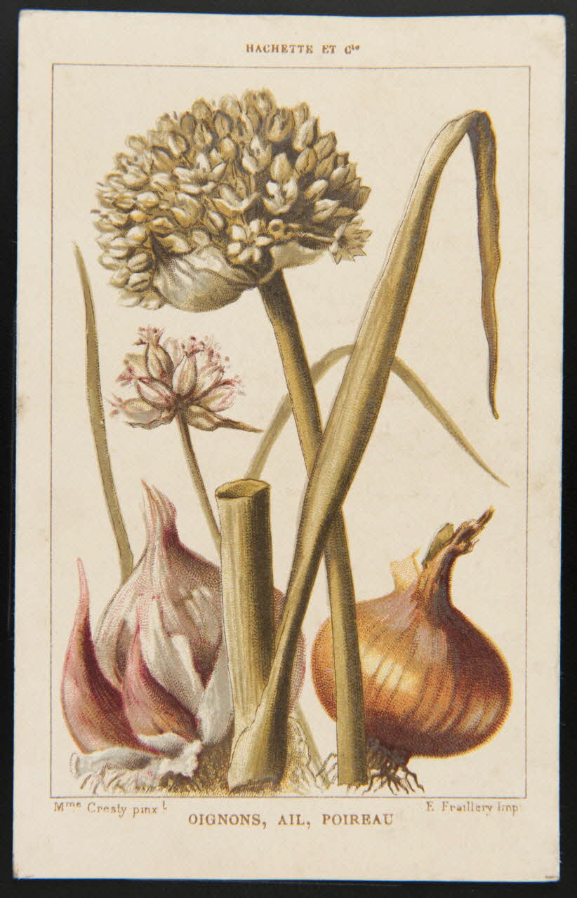 carte réclame chromo 1995.1.1311.92 Photo