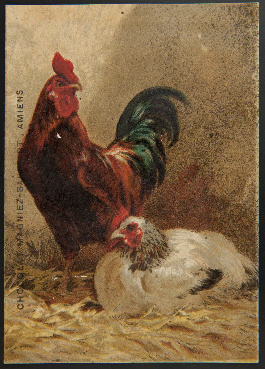 Bourgerie carte réclame chromo Paris 1880-1910 1995.1.1340.1 Photo