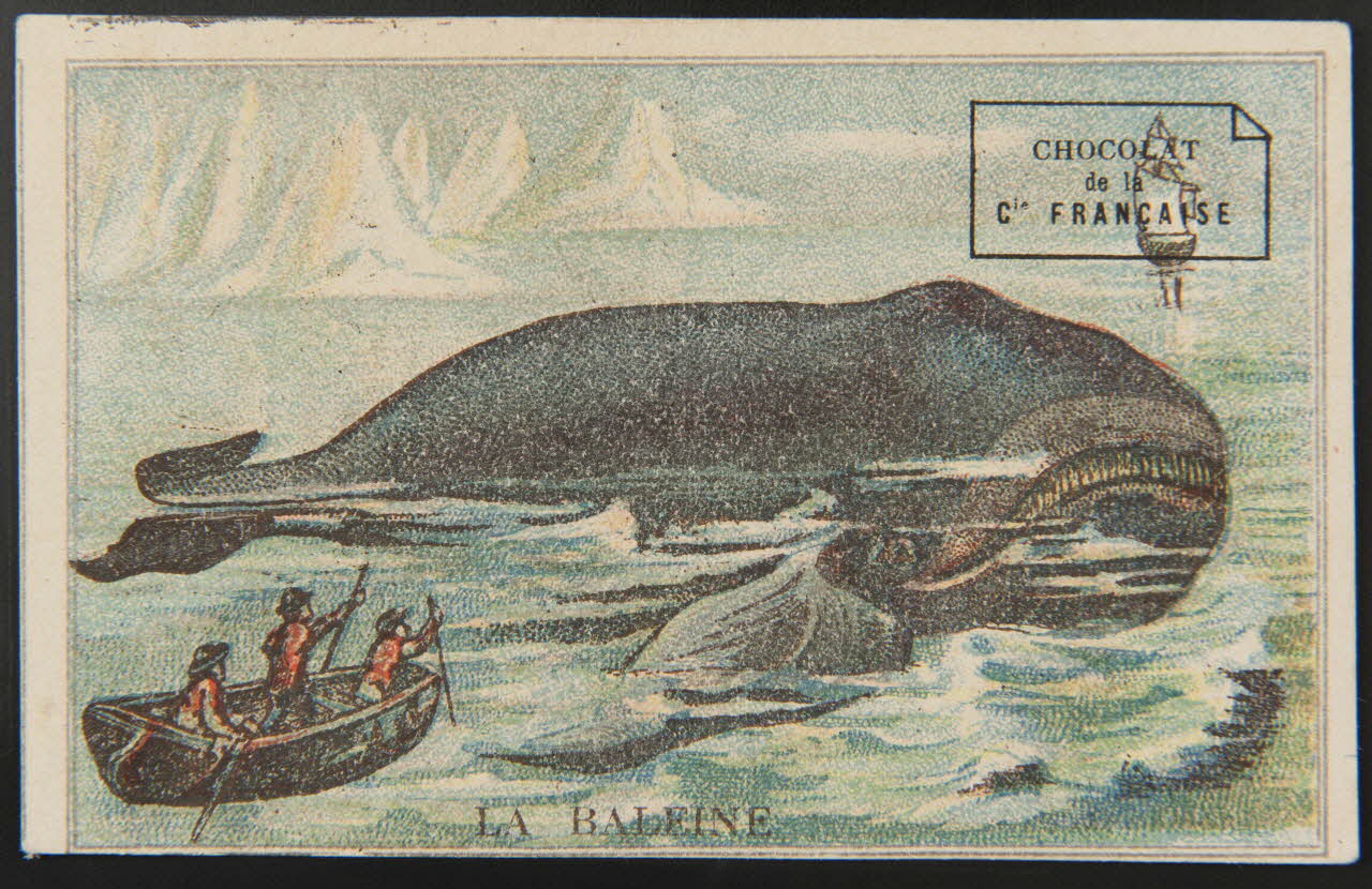 Bourgerie carte réclame chromo Paris 1880-1910 1995.1.1341.1 Photo