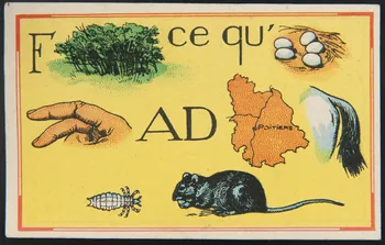 carte réclame chromo 1995.1.1343.14  Photo