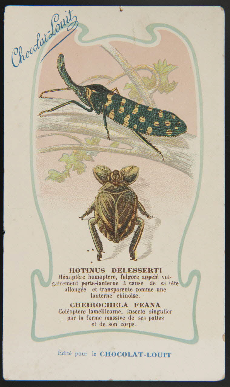 carte réclame chromo 1995.1.1344.19 Photo