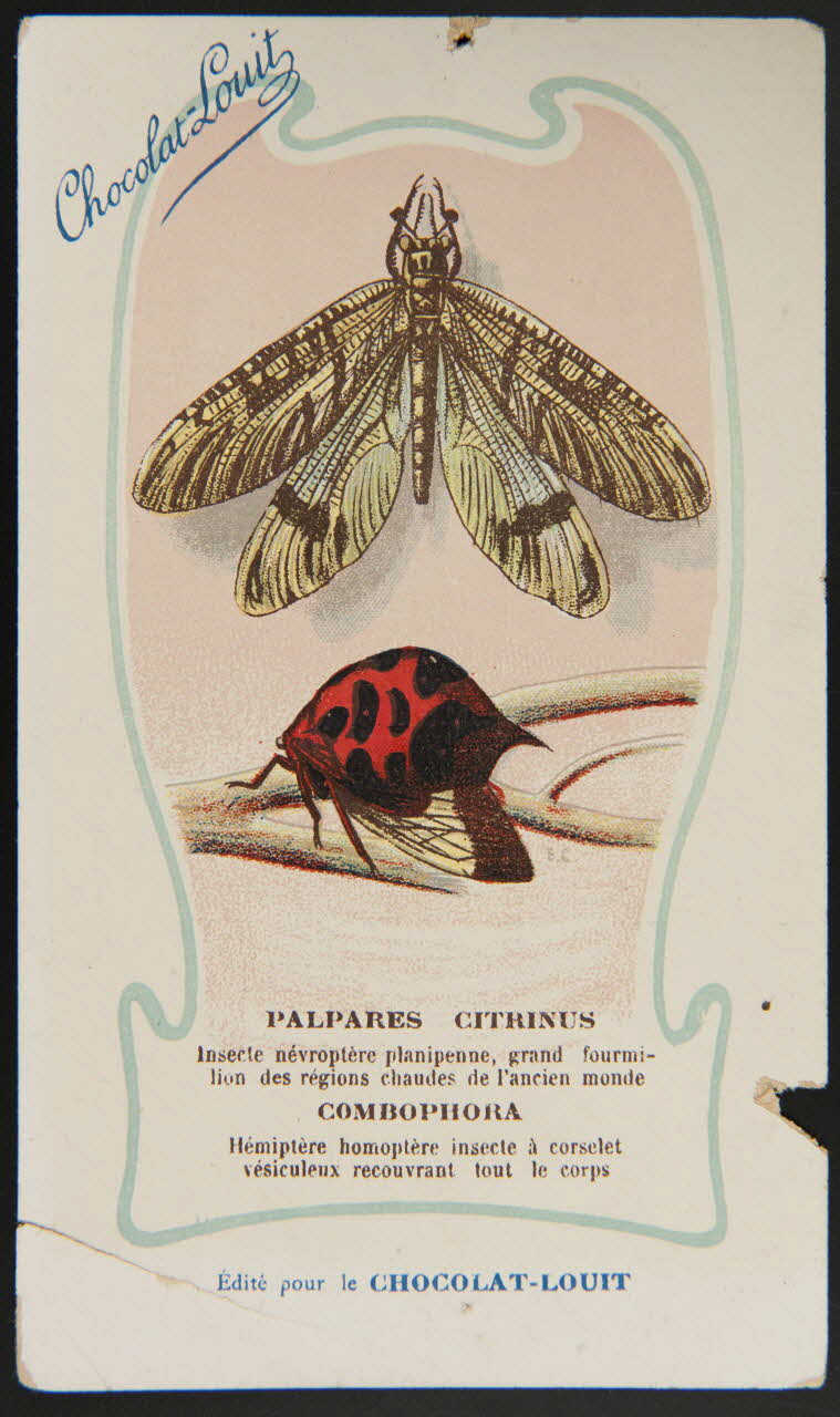 carte réclame chromo 1995.1.1344.25 Photo