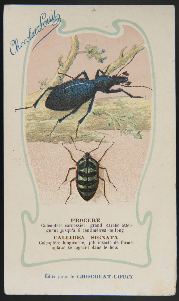 carte réclame chromo 1995.1.1344.28 Photo