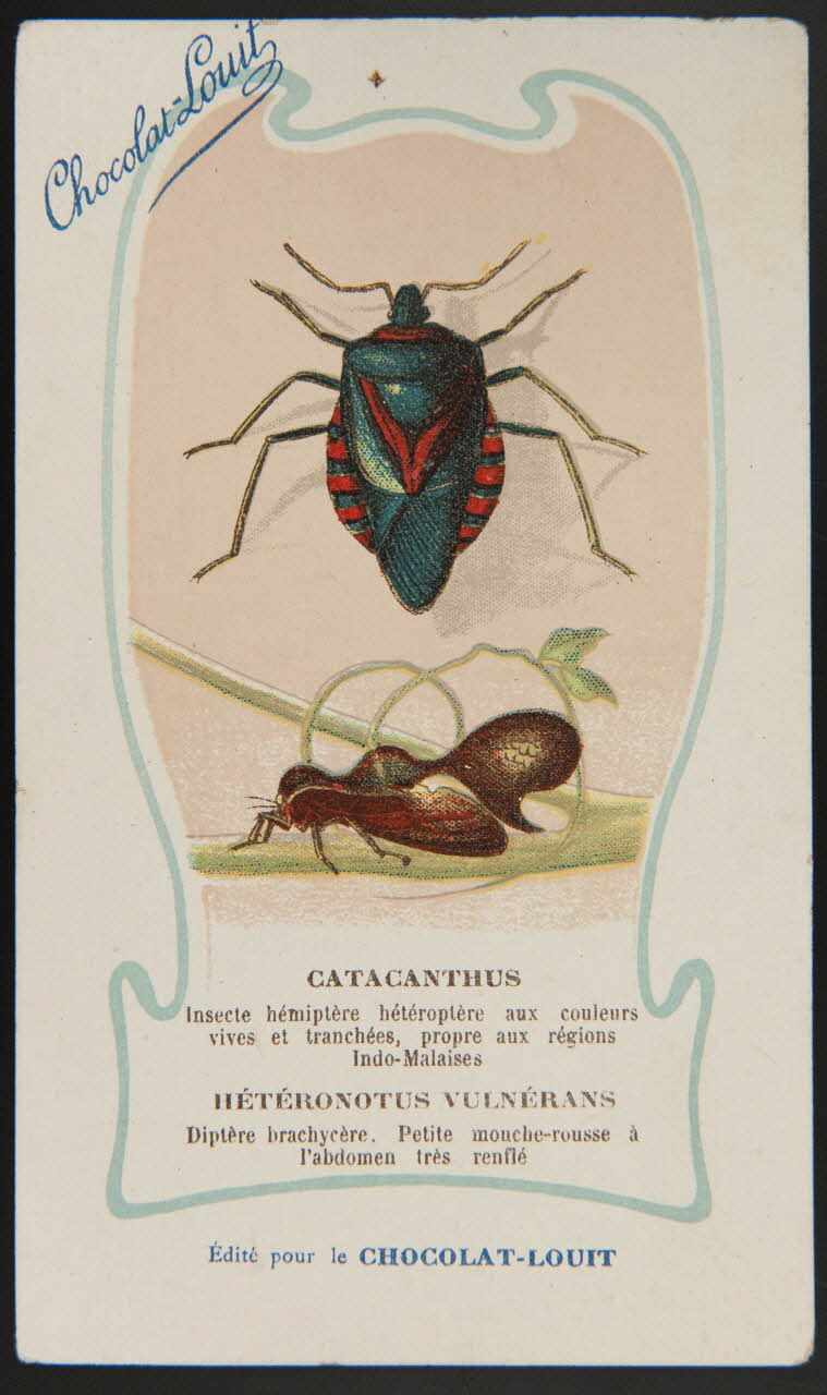 carte réclame chromo 1995.1.1344.4 Photo