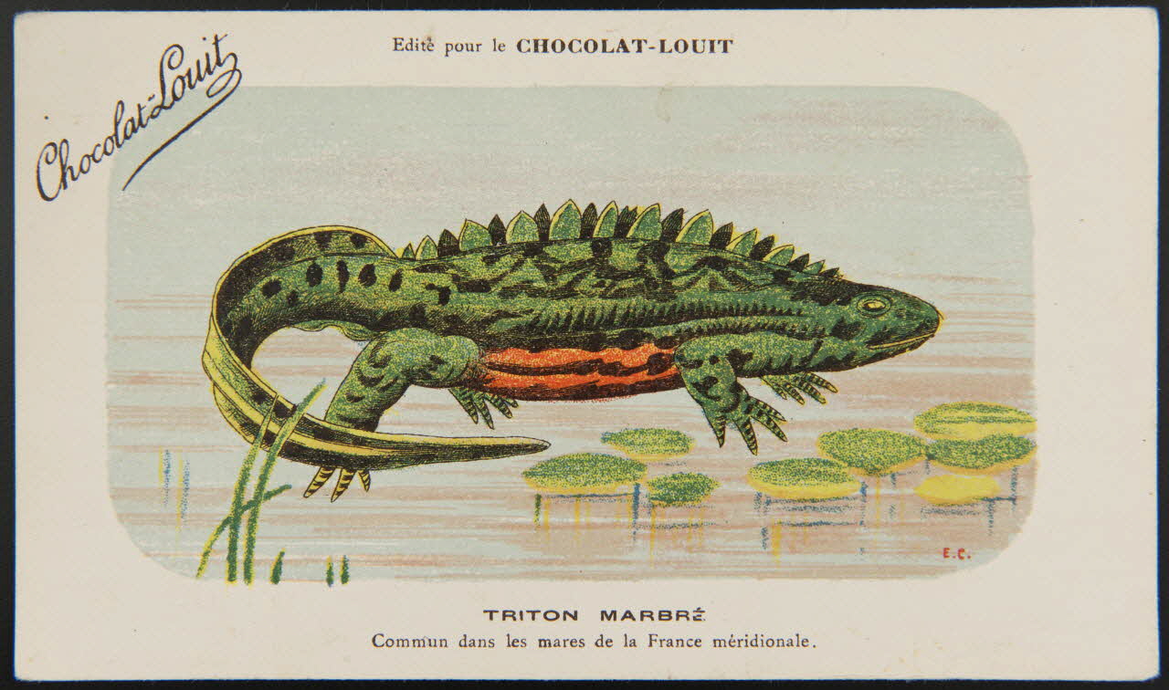 carte réclame chromo 1995.1.1345.24 Photo