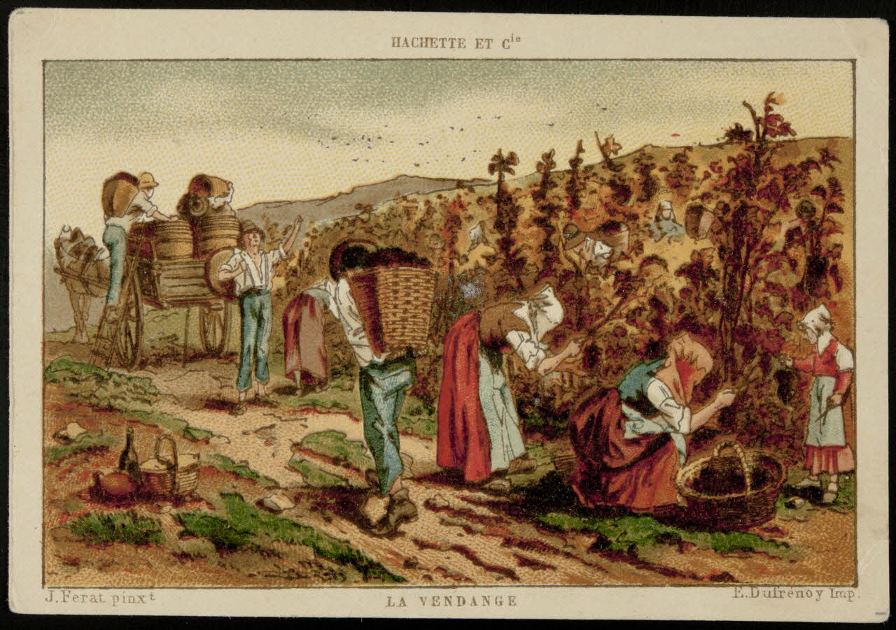 carte réclame LA VENDANGE 1995.1.1386.11 Photo