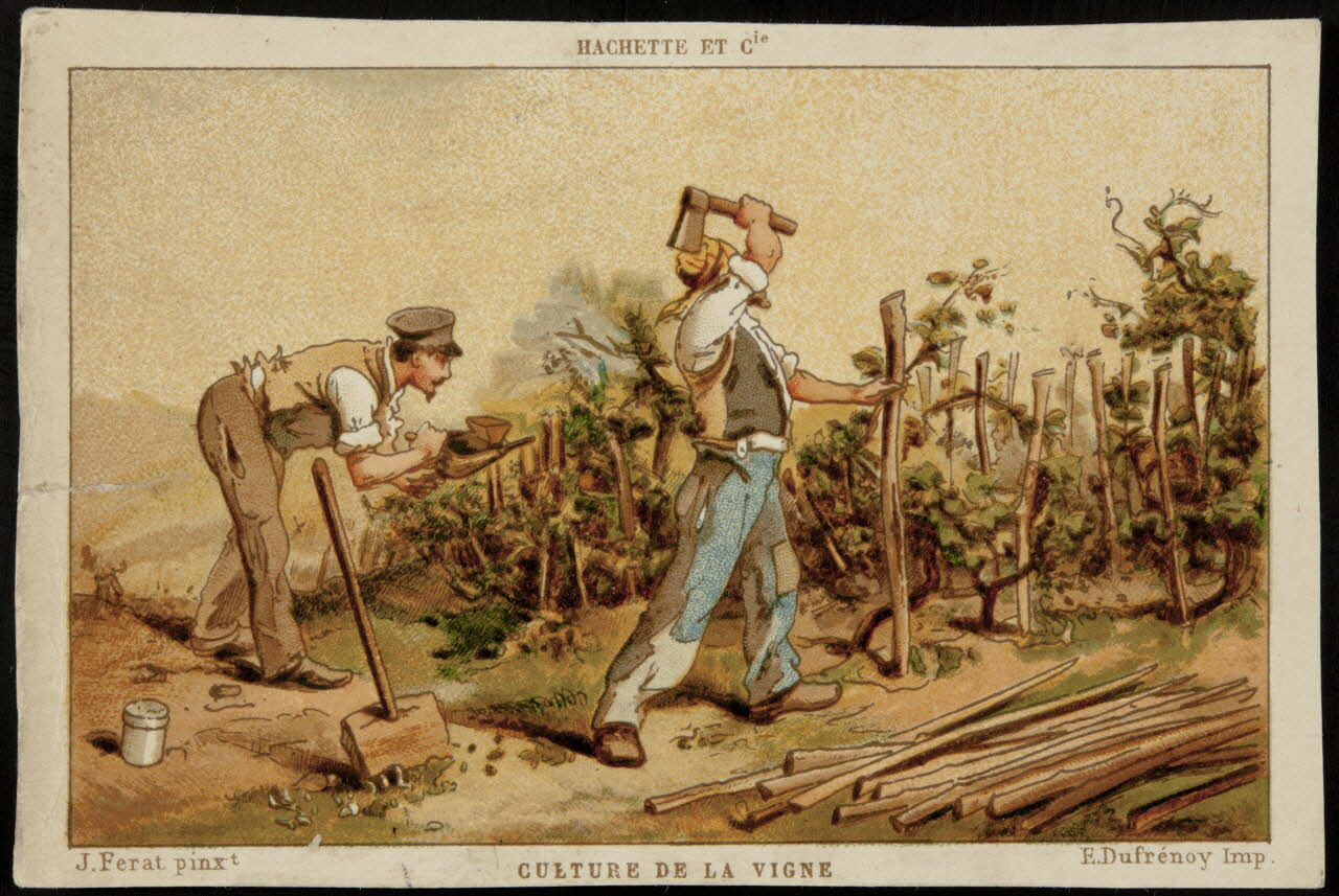 Ferat J. ; Hachette ; Dufrenoy E. carte réclame chromo Paris 1878-1914 1995.1.1386.3 Photo