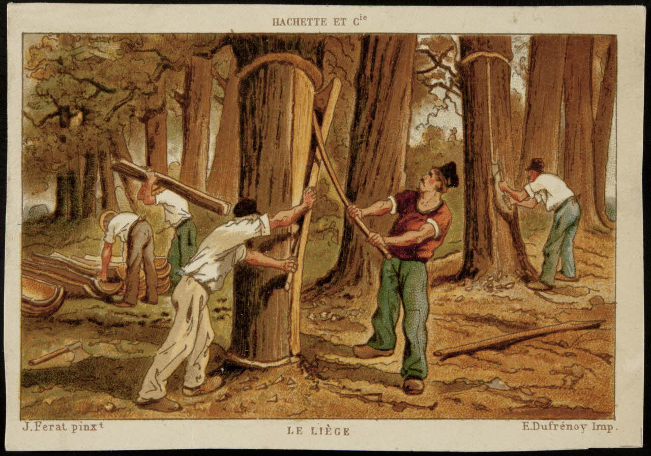 Ferat J. ; Hachette ; Dufrénoy E. carte réclame chromo Paris 1878-1914 1995.1.1386.6 Photo