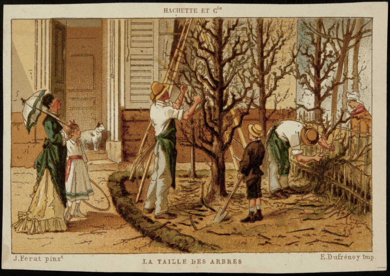 Ferat J. ; Hachette ; Dufrénoy E. carte réclame chromo Paris 1878-1914 1995.1.1386.8 Photo