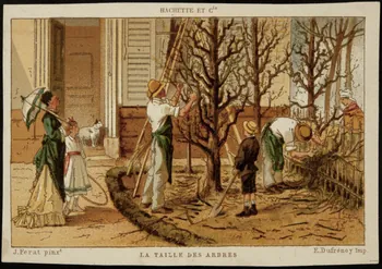 Ferat J. ; Hachette ; Dufrénoy E. carte réclame chromo Paris 1878-1914 1995.1.1386.8 Photo