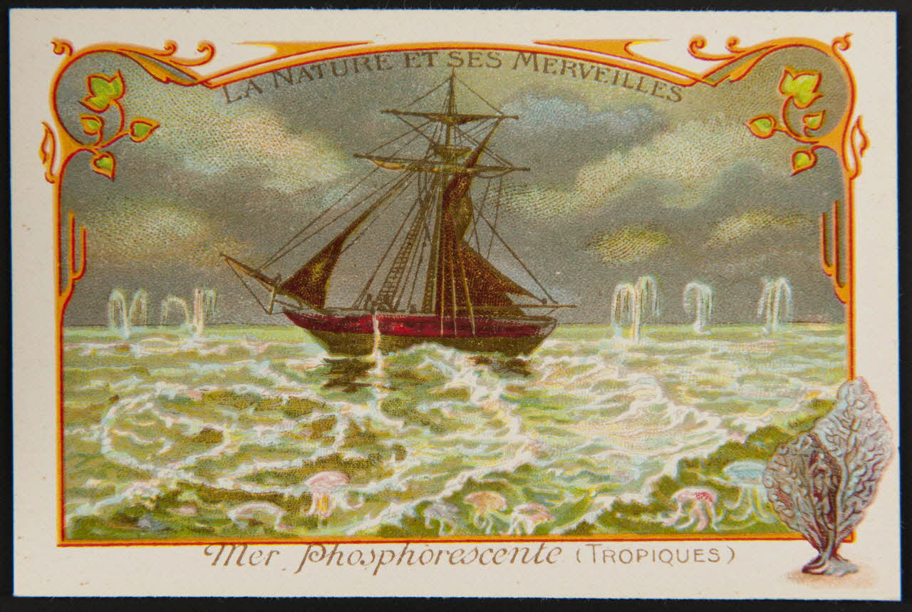 carte réclame chromo 1995.1.1427.11 Photo