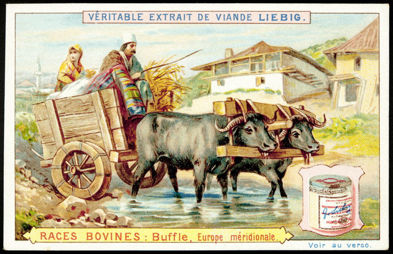 Liebig carte réclame chromo Anvers 1897 1995.1.1491.1 Photo