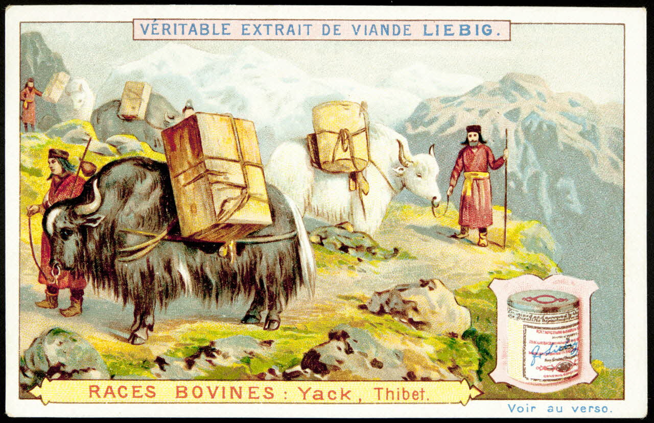 Liebig carte réclame chromo Anvers 1897 1995.1.1491.3 Photo