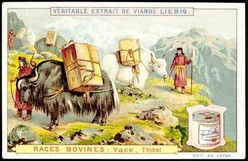 Liebig carte réclame chromo Anvers 1897 1995.1.1491.3  Photo