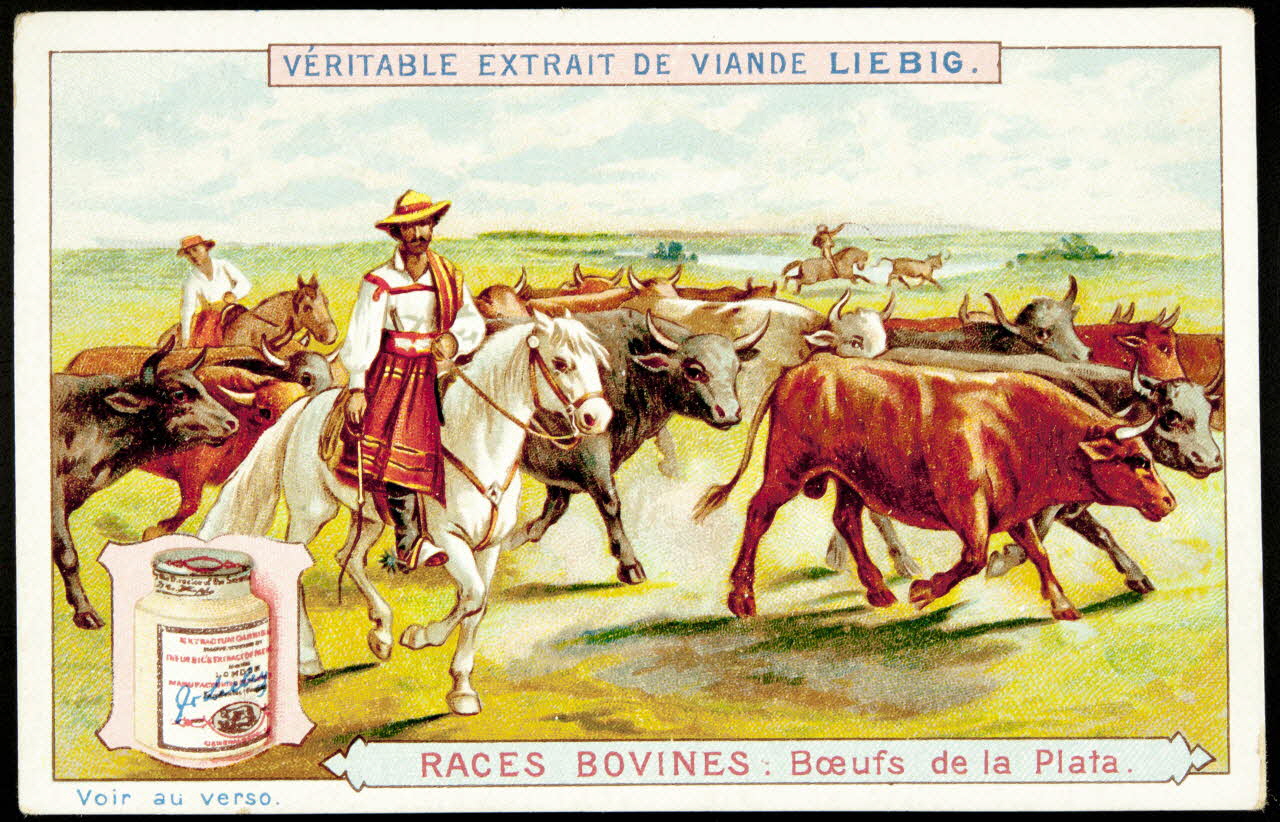 Liebig carte réclame chromo Anvers 1897 1995.1.1491.5 Photo