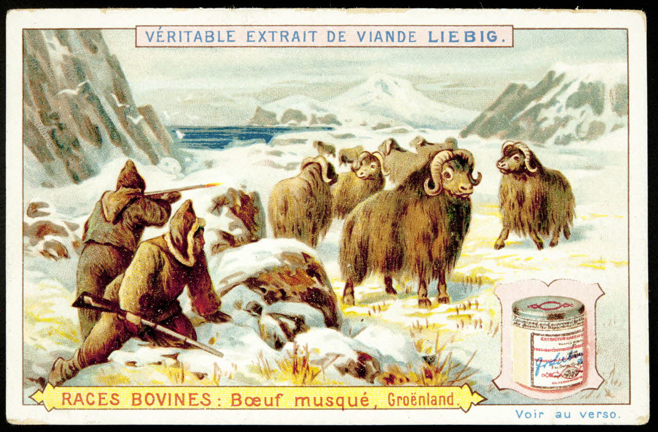 Liebig carte réclame chromo Anvers 1897 1995.1.1491.6 Photo