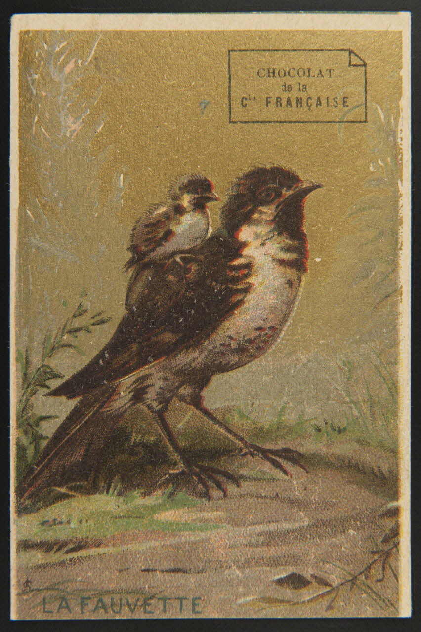 carte réclame chromo 1995.1.1513.1 Photo