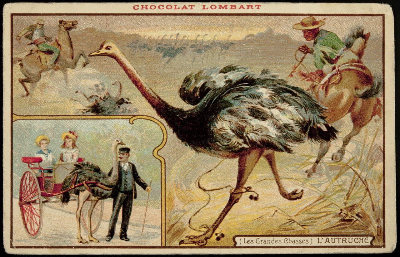 carte réclame chromo 1995.1.158.1 Photo