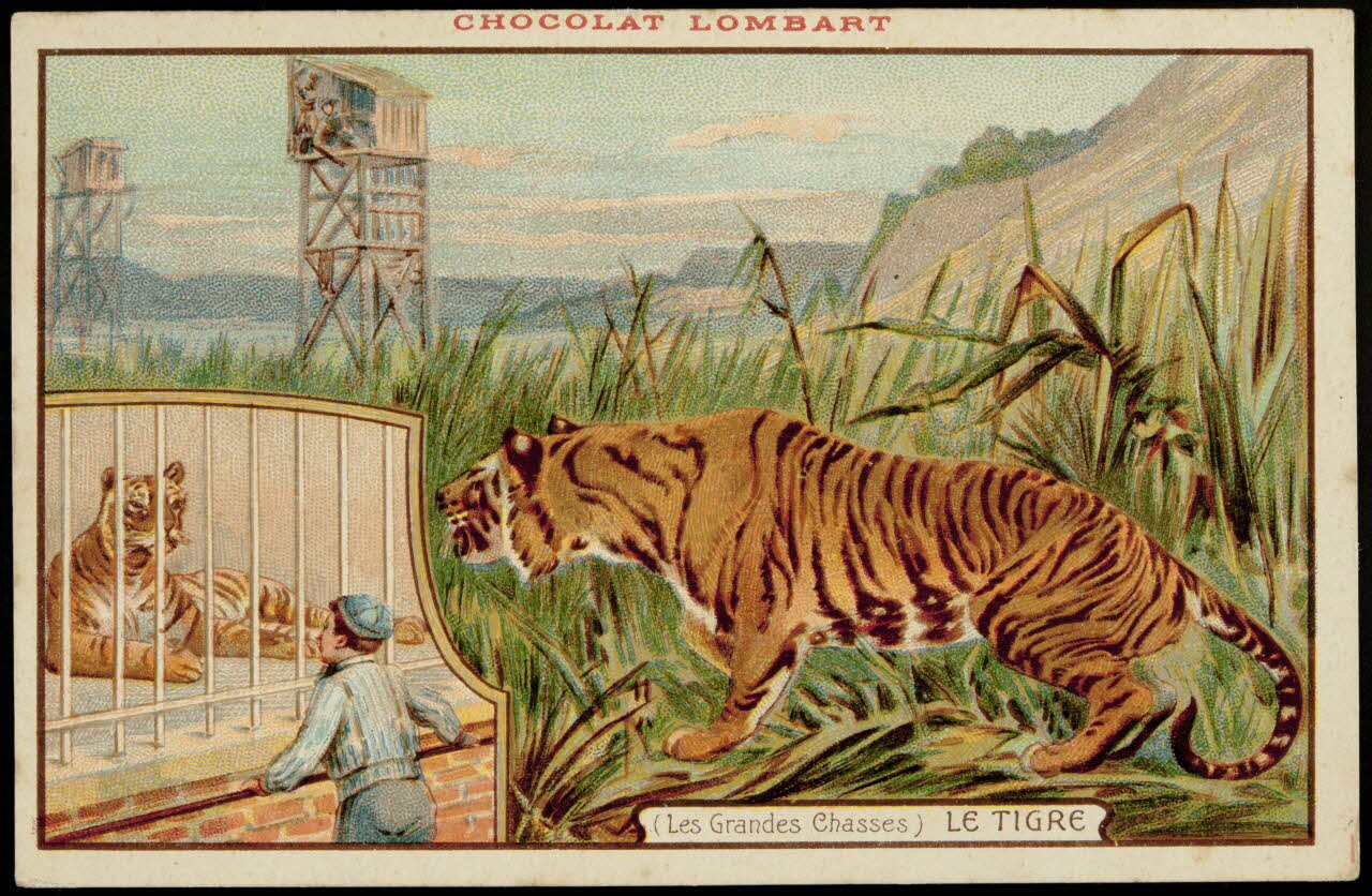 carte réclame chromo 1995.1.158.4 Photo