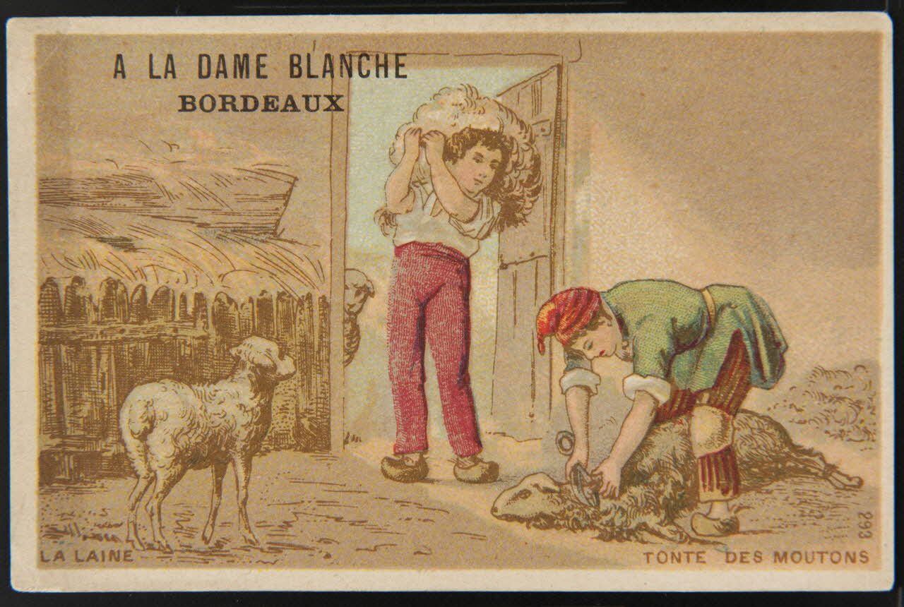 carte réclame chromo Dôle 1880-1900 1995.1.1651.8 Photo