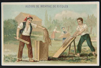 carte réclame chromo Dôle 1880-1900 1995.1.1651.9 Photo