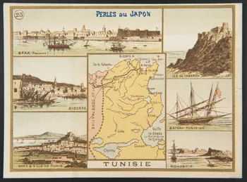 carte réclame LES COTES DE FRANCE  TUNISIE 1995.1.1669.25 Photo