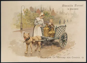 Romanet carte réclame chromo Paris 1900 1995.1.1672.3  Photo