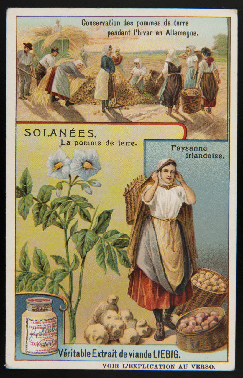 Liebig carte réclame chromo Paris 1909 1995.1.1701.1 Photo