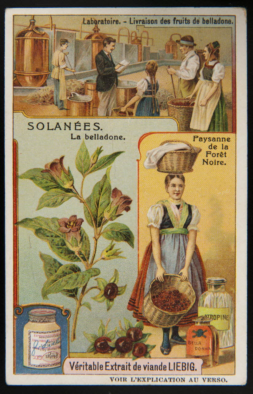 Liebig carte réclame chromo Paris 1909 1995.1.1701.2 Photo