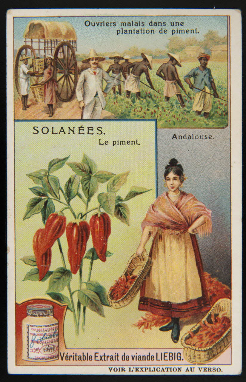 Liebig carte réclame chromo Paris 1909 1995.1.1701.3 Photo