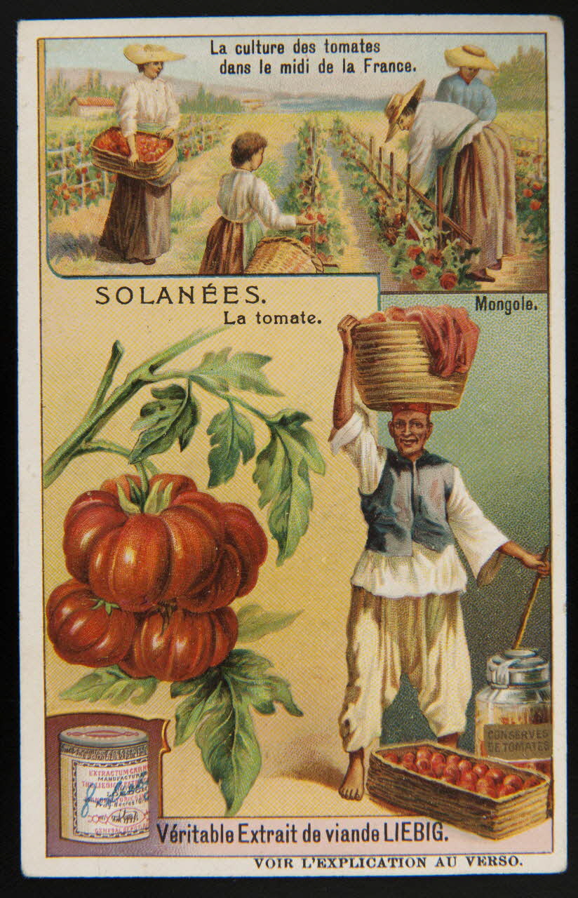 Liebig carte réclame chromo Paris 1909 1995.1.1701.5 Photo