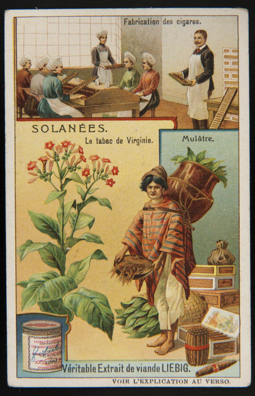 Liebig carte réclame chromo Paris 1909 1995.1.1701.6 Photo