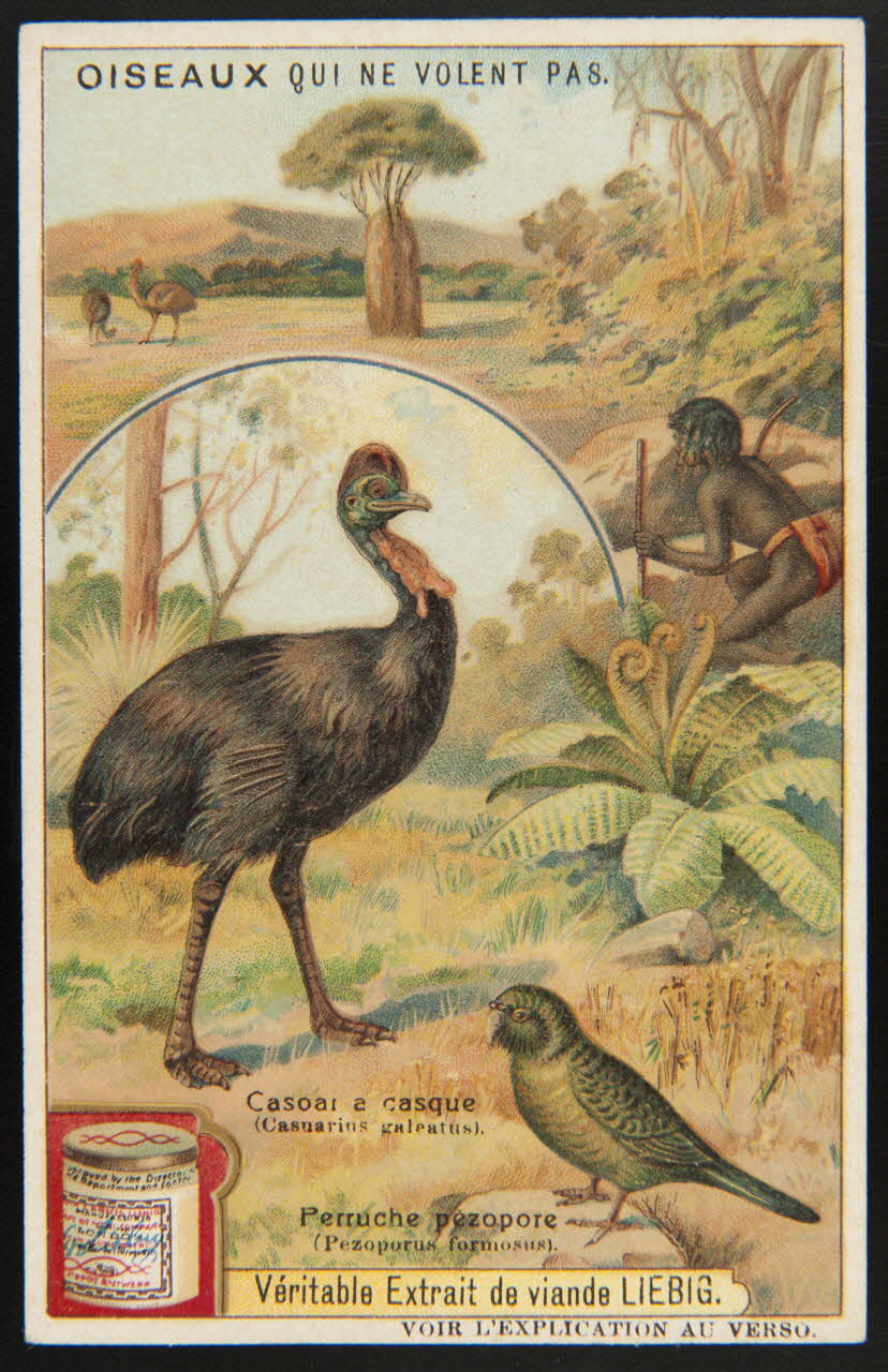 Liebig carte réclame chromo Paris 1908 1995.1.1702.1 Photo