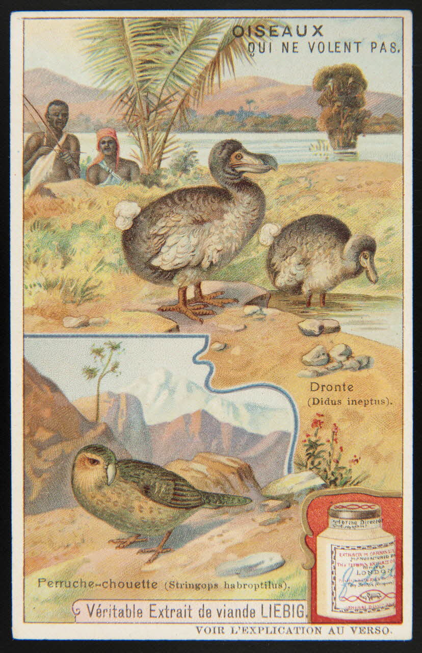 Liebig carte réclame chromo Paris 1908 1995.1.1702.2 Photo