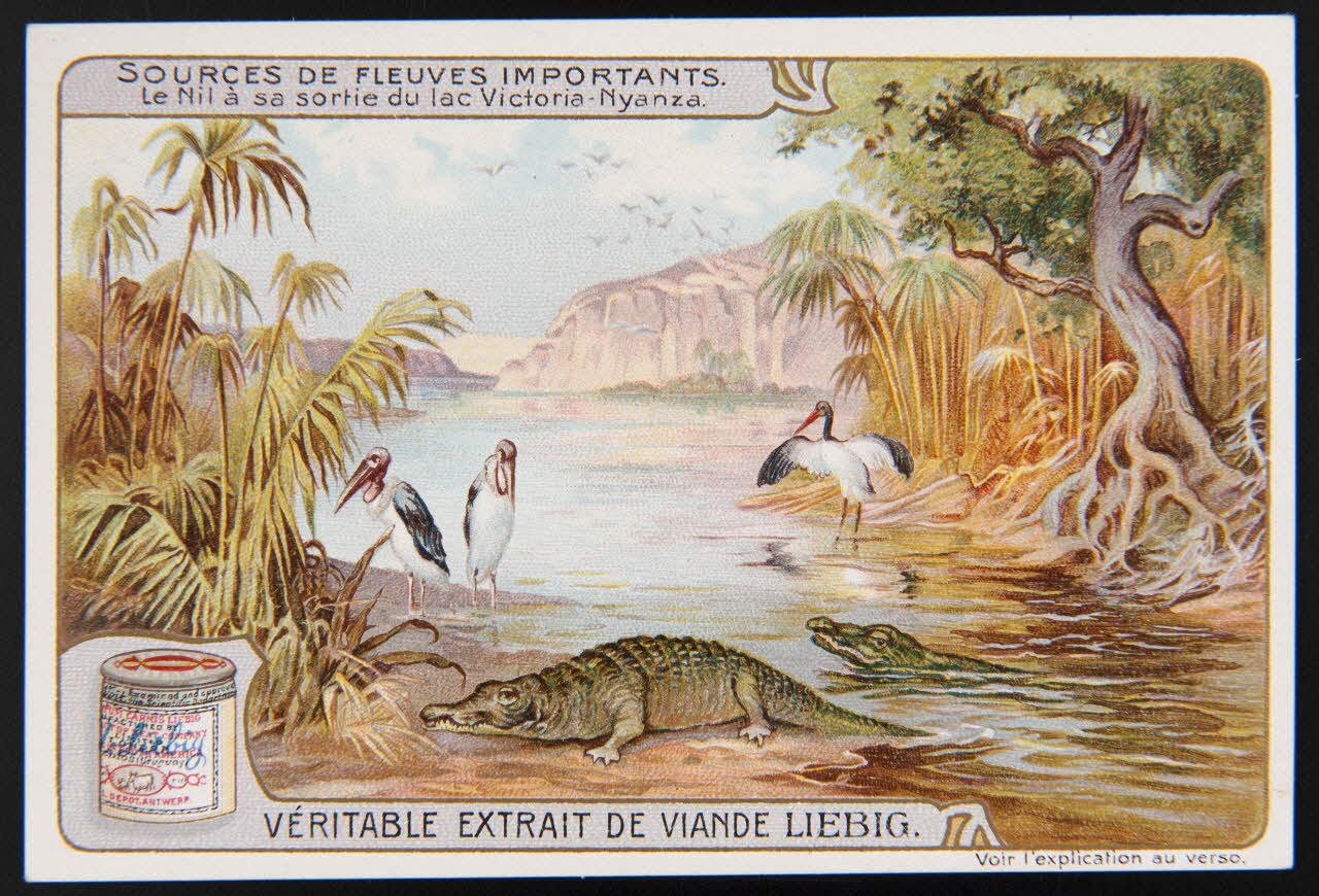 Liebig carte réclame chromo Paris 1908 1995.1.1703.6 Photo