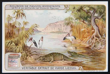 Liebig carte réclame chromo Paris 1908 1995.1.1703.6 Photo