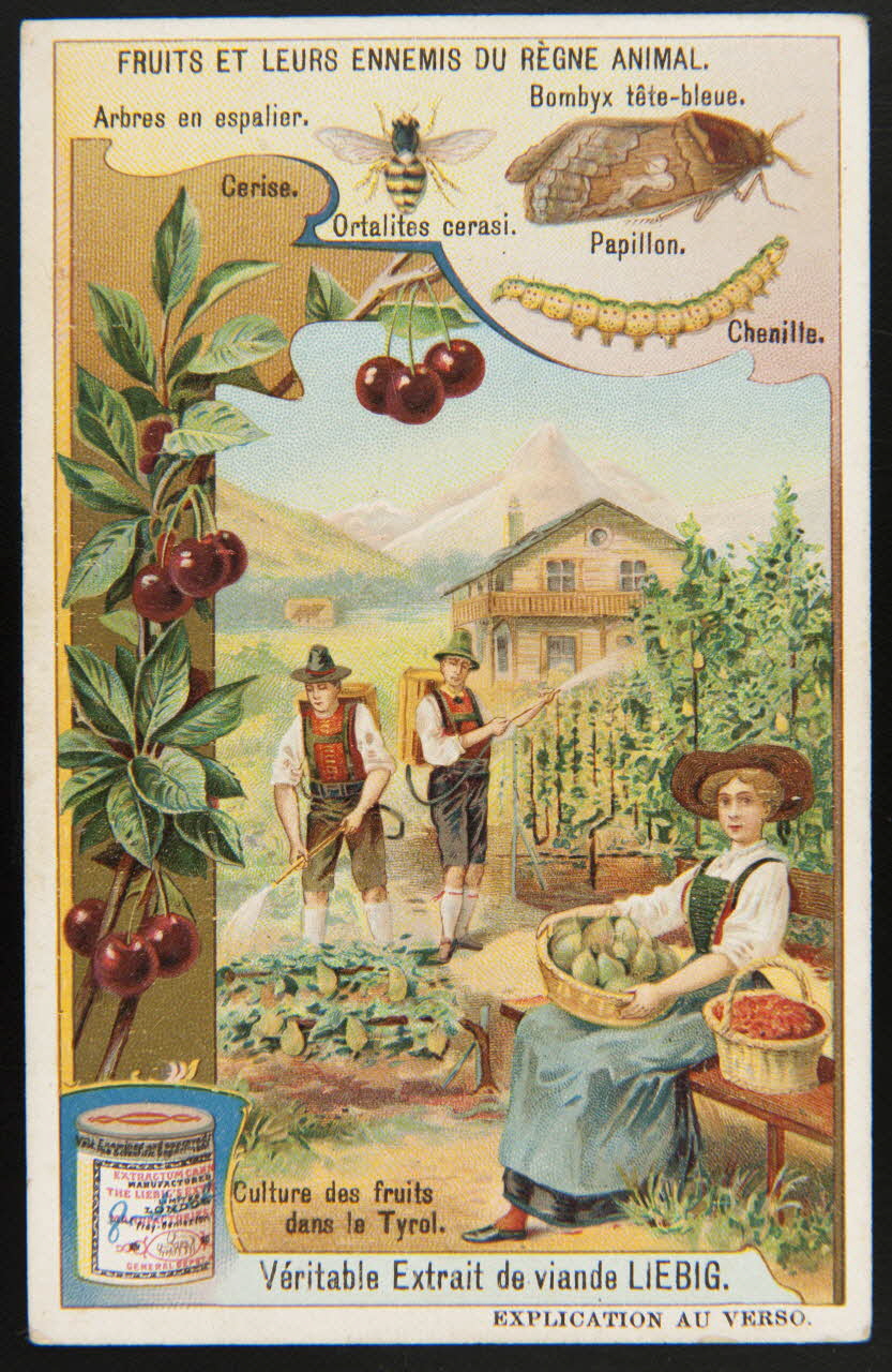 Liebig carte réclame chromo Paris 1908 1995.1.1704.1 Photo