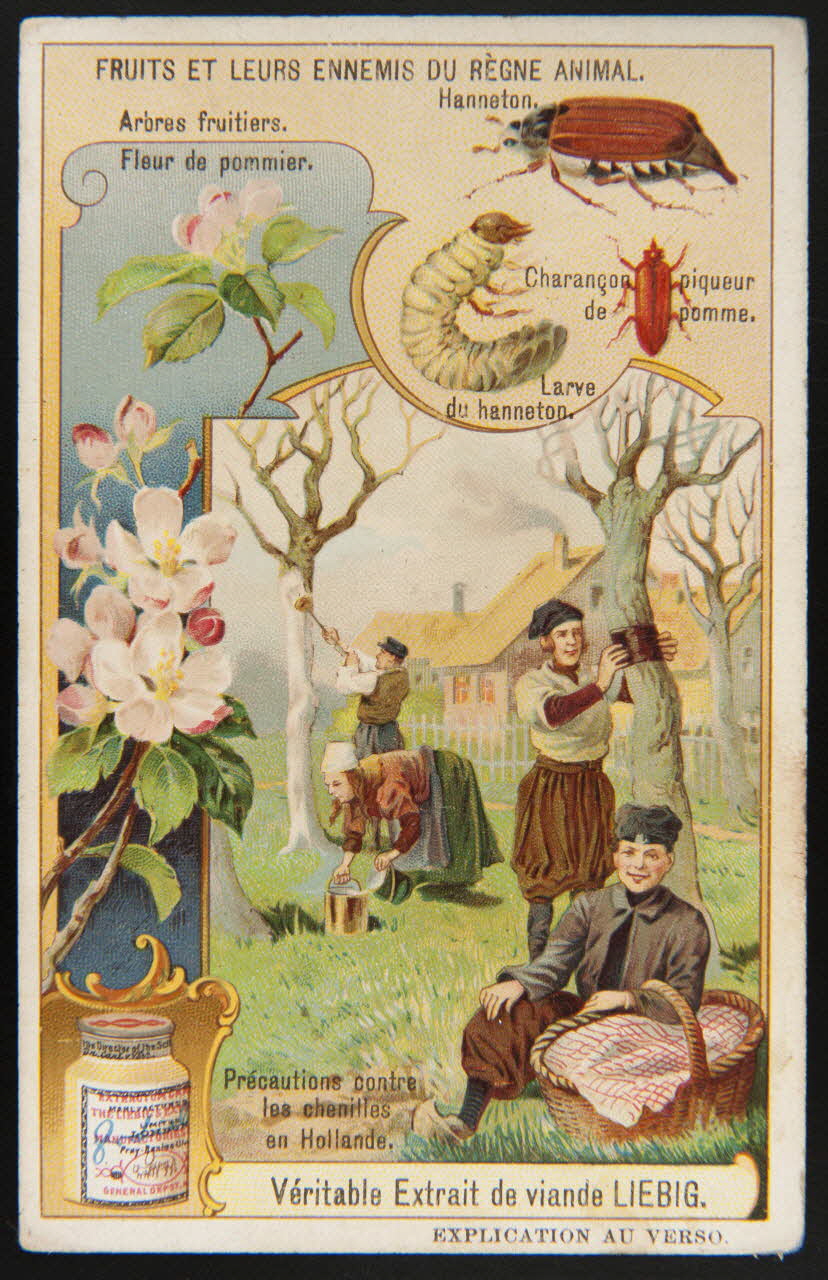 Liebig carte réclame chromo Paris 1908 1995.1.1704.2 Photo