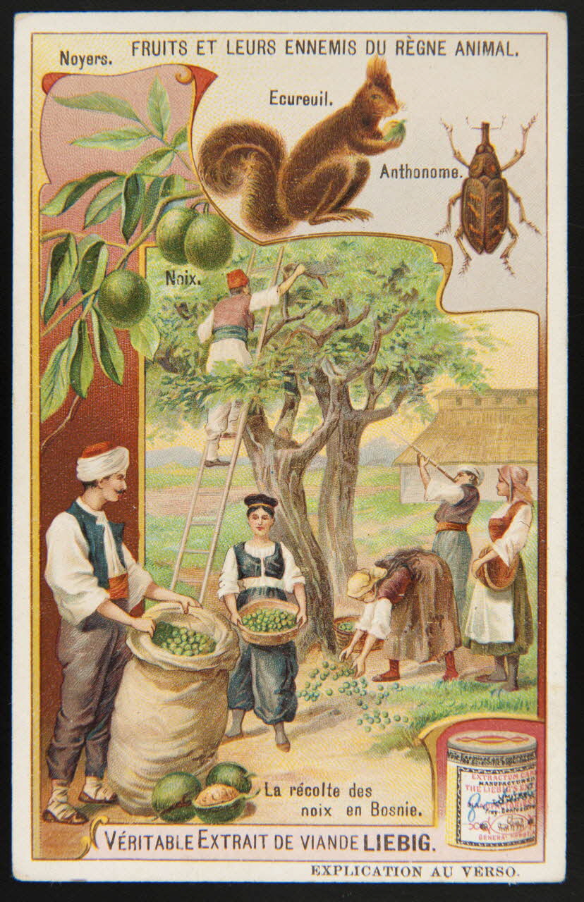 Liebig carte réclame chromo Paris 1908 1995.1.1704.6 Photo