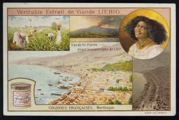 Liebig carte réclame chromo Paris 1909 1995.1.1706.6  Photo