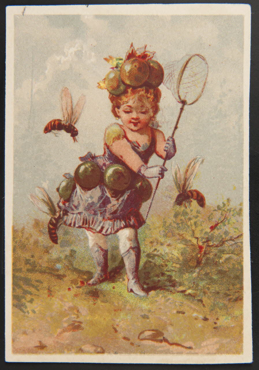 Testu & Massin carte réclame chromo Paris 1885-1895 1995.1.1722.2 Photo