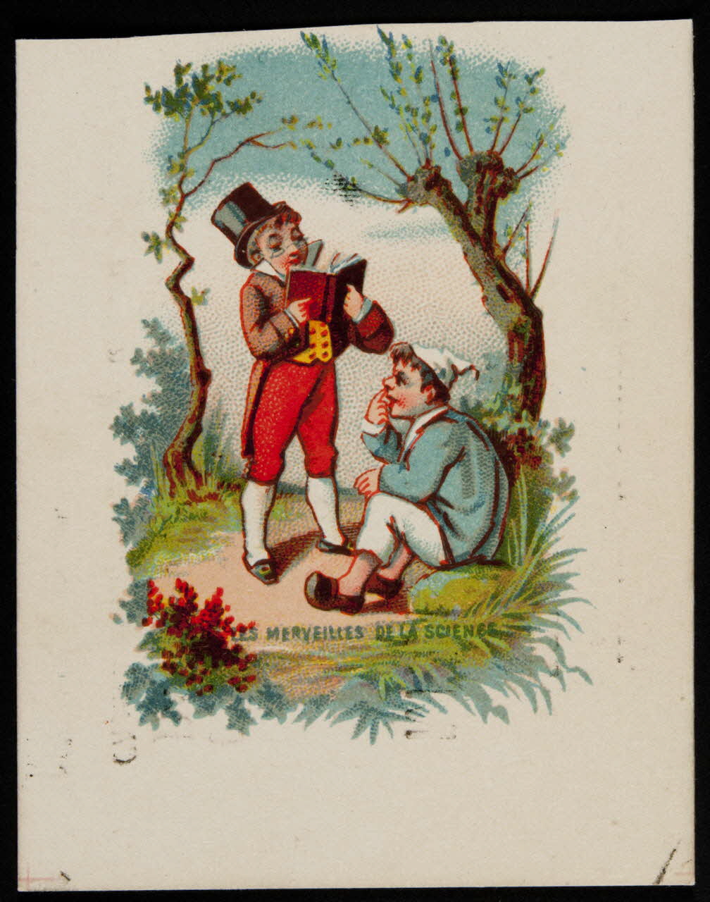 Harvieu carte réclame chromo Dôle 1880-1882 1995.1.1819.10 Photo