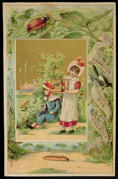 carte réclame chromo Dôle 1880-1900 1995.1.1824.4  Photo